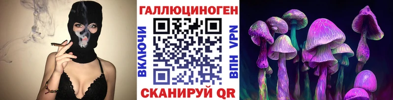 закладка  Шагонар  Галлюциногенные грибы Psilocybe 