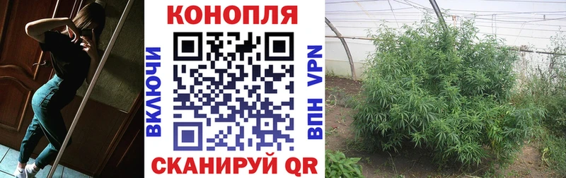 ОМГ ОМГ как войти  Шагонар  Каннабис марихуана 